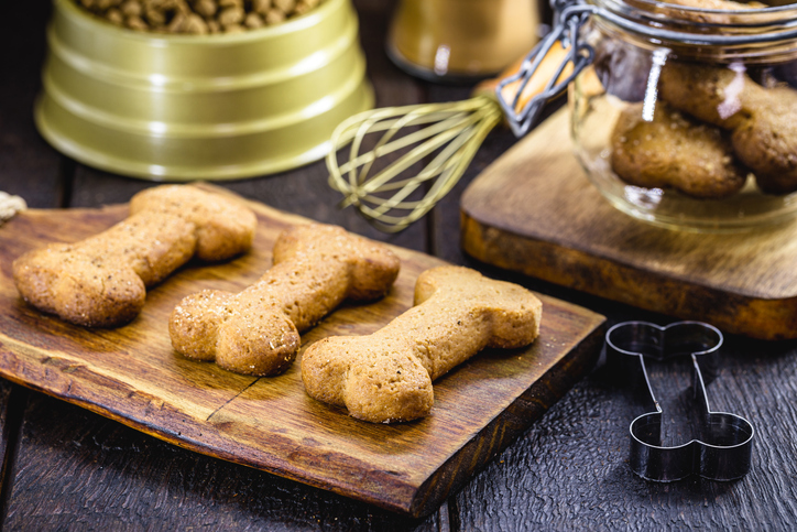 Spoil Your Pup with Love: Homemade Dog Treats
