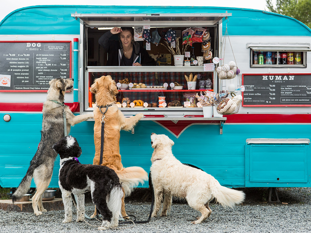 Fetch $4K a Month: Start Your Own Dog Treat Food Truck