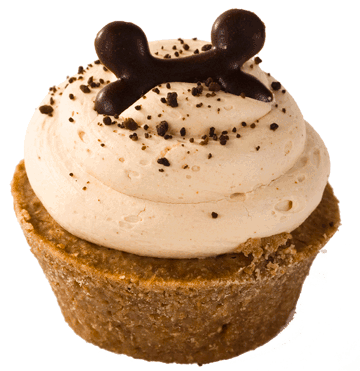 Healthy Dog Treats: Homemade Pup-Cakes