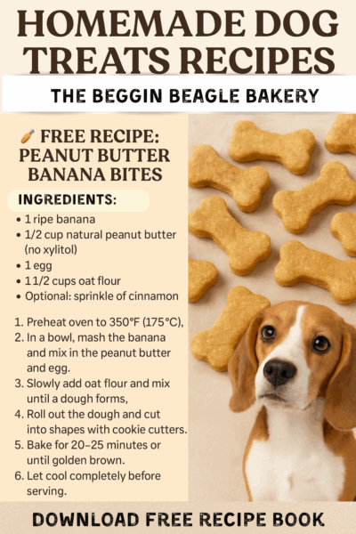 Homemade Dog Treats Recipes Your Pup Will Love