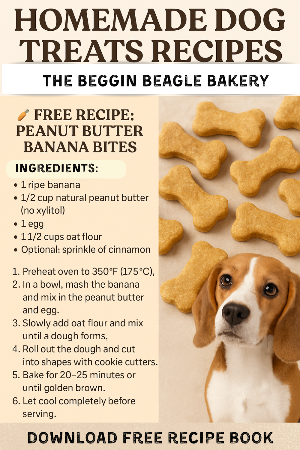 Homemade Dog Treats Recipes Your Pup Will Love